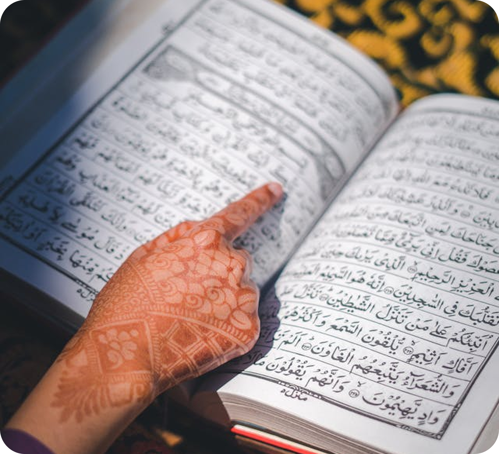 Share tools quickly and confidently in minutes